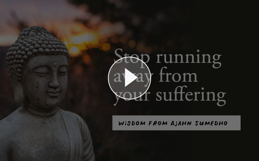 Stop trying to run away from suffering