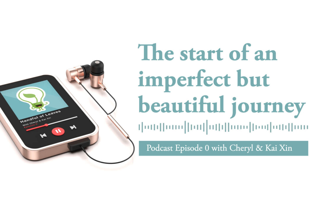 Ep 0: The start of an imperfect but beautiful journey