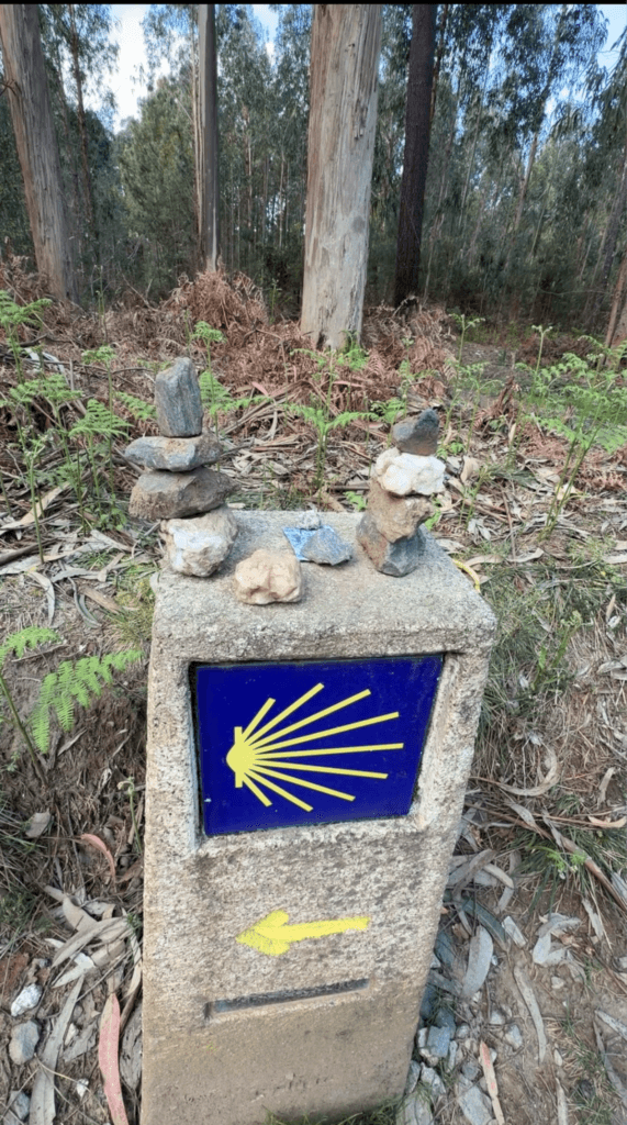 A Buddhist on a Catholic Pilgrimage: Reflections from the Camino de Santiago