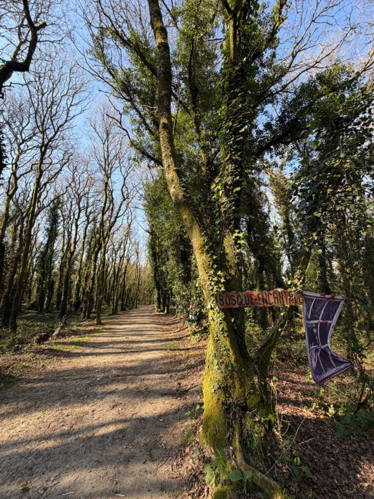 A Buddhist on a Catholic Pilgrimage: Reflections from the Camino de Santiago